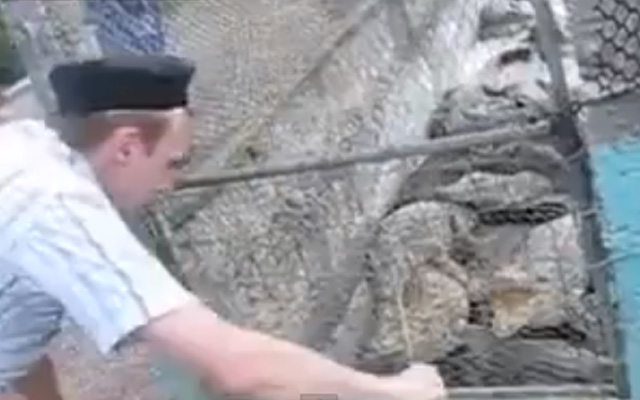 Un grupo de turistas rusos se lleva un gran susto después de molestar a unos cocodrilos