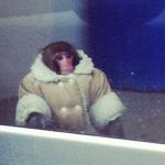 Aparece un macaco con un abrigo en el aparcamiento del Ikea de Toronto
