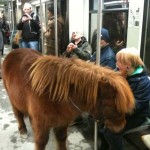 Una mujer entra con un poni dentro del metro de Berlín