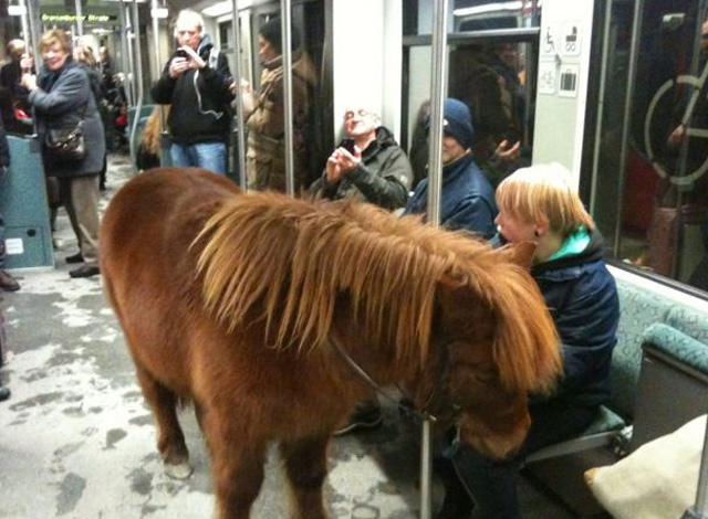 Una mujer entra con un poni dentro del metro de Berlín