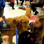 Un grupo de perros ejercen de psicólogos tras la mantanza de niños en Newtown