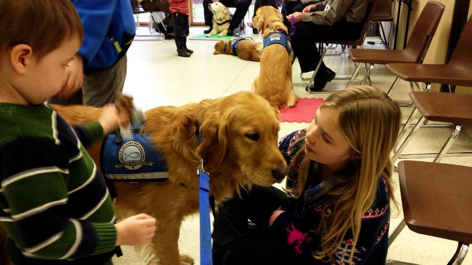 Un grupo de perros ejercen de psicólogos tras la mantanza de niños en Newtown