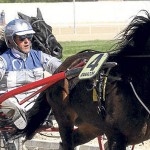 Un hombre mata a su caballo por quedar eliminado de una carrera