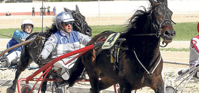 Un hombre mata a su caballo por quedar eliminado de una carrera