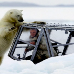 El increíble encuentro entre el fotógrafo de la BBC Gordon Buchanan y un oso polar hambriento