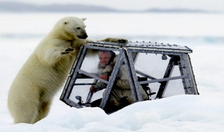 El increíble encuentro entre el fotógrafo de la BBC Gordon Buchanan y un oso polar hambriento