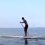 Esto es lo que ocurre cuando un paddle boarder se acerca demasiado a los manatíes