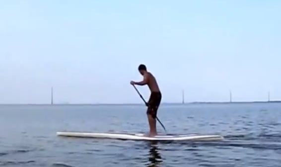 Esto es lo que ocurre cuando un paddle boarder se acerca demasiado a los manatíes