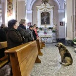 Ciccio, el perro que acude a la iglesia todos los días para esperar a que vuelva su dueña fallecida