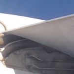 Una serpiente pitón sobrevive viajando enroscada en el ala de un avión de Qantas