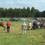 Prueba de fuerza: 18 hombres contra un caballo