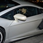 El nuevo DMC Lamborghini Aventador LP900 de Justin Bieber