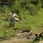 Un alligator le perdona la vida a un hombre