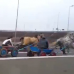 Carrera de caballos autovía Rumanía