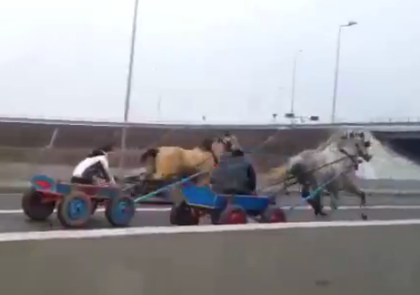 Carrera de caballos autovía Rumanía