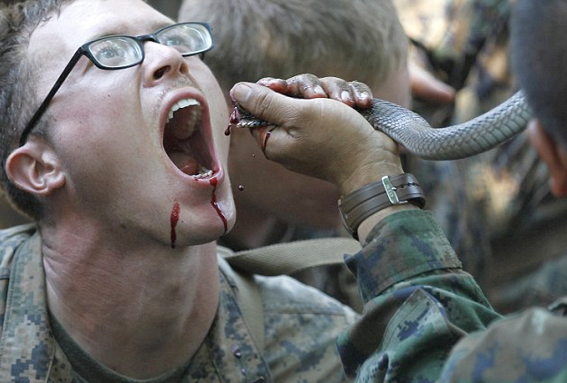 Soldados beben sangre de cobra durante un entrenamiento militar