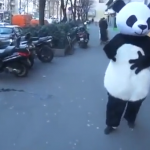 Este oso panda es mago