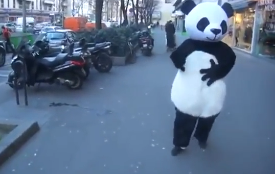 Este oso panda es mago