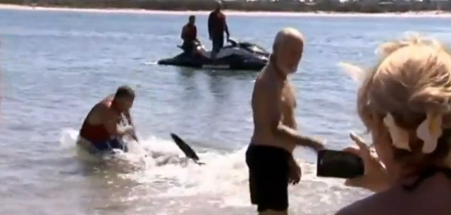 Un hombre que ayudó a un tiburón a volver al mar en una playa es despedido de su trabajo