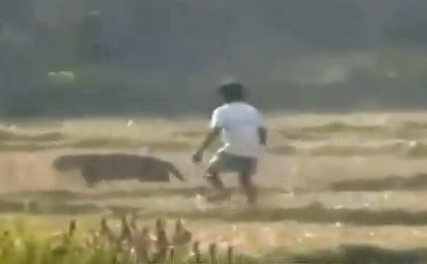 Un leopardo ataca a unos campesinos en India