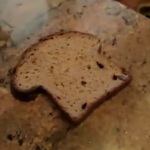 ¿Pero esto es pan o una esponja?. Ojo que es real