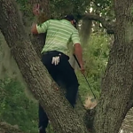 El golfista Sergio García se subió a un árbol para golpear la bola durante el torneo Arnold Palmer International