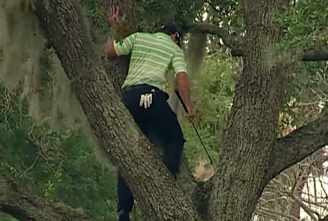 El golfista Sergio García se subió a un árbol para golpear la bola durante el torneo Arnold Palmer International