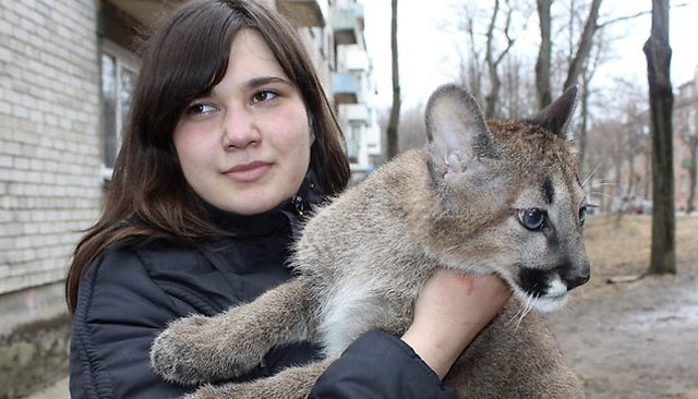 Una joven lituana vive en un apartamento con tres pumas