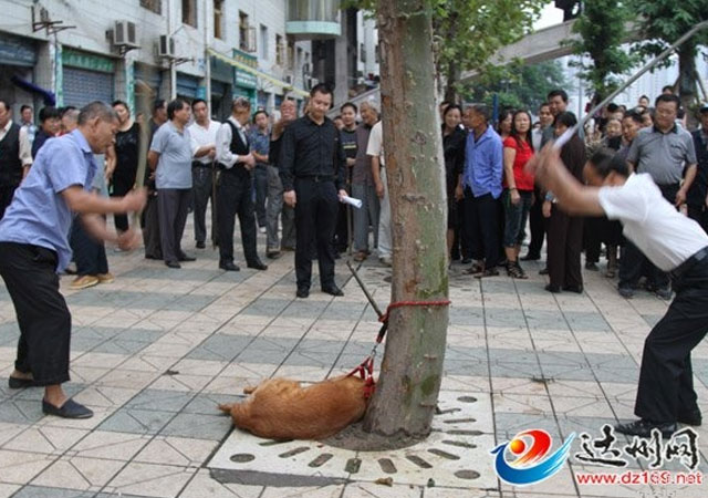 Dos “hombres” chinos apalean hasta la muerte a un perro atado a un árbol en plena calle