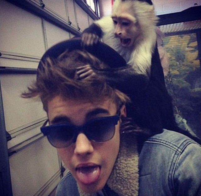 Agentes de Aduana decomisan a Justin Bieber un mono capuchino en el Aeropuerto de Munich