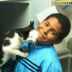 Un niño de 10 años salva a un gato de unos niños que lo estaban maltratando