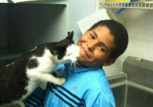 Un niño de 10 años salva a un gato de unos niños que lo estaban maltratando