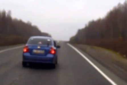Un coche atropella a un oso que se cruzó por delante en una carretera de Rusia
