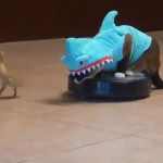 Un gato disfrazado de tiburón persiguiendo a un pato encima de un aspirador