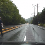 Un policía se para en mitad de la carretera durante una persecución para no atropellar a unos patitos