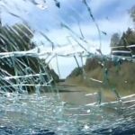 Un árbol cae sobre su coche justo cuando pasa