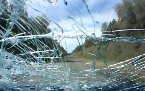 Un árbol cae sobre su coche justo cuando pasa