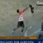 Expulsan a un futbolista que lanzó a un perro contra la tribuna durante un partido de fútbol