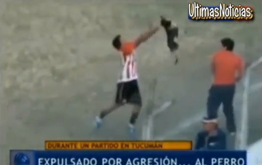 Expulsan a un futbolista que lanzó a un perro contra la tribuna durante un partido de fútbol