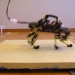 Científicos suizos crean un gato robot