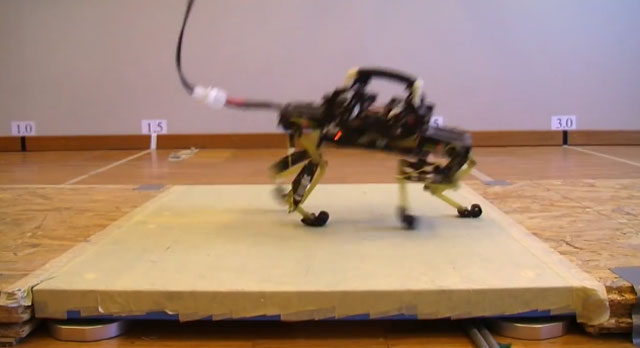 Científicos suizos crean un gato robot
