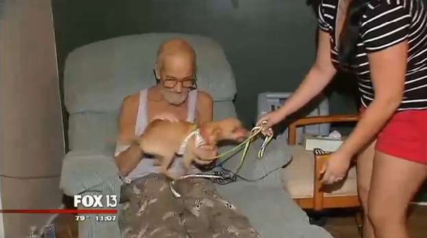 Un veterano de Vietnam diagnosticado con un cáncer terminal se reúne con su chihuahua que había perdido