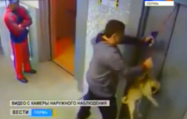 Un hombre salva a un perro de morir ahorcado en un ascensor