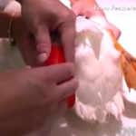 Un pato vuelve a caminar gracias a una impresora 3D