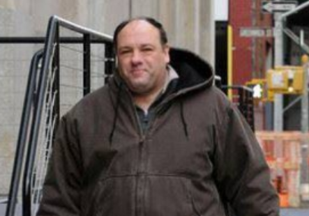 La última película de James Gandolfini era sobre el rescate de un pit bull