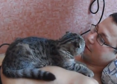 Esto es amor de gato