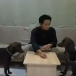 Una mujer detenida en Malasia acusada de “antiislámica” por hacer un vídeo en el que lava las patas de sus perros