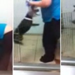Una mujer cazada infraganti mientras golpeaba brutalmente a un perro contra la pared por ladrar demasiado