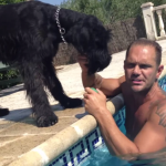 Nacho Vidal: ”No hay perros asesinos, hay personas que no saben ser personas”