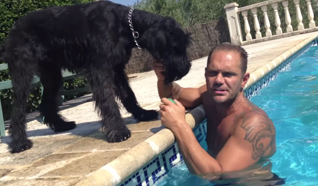 Nacho Vidal: ”No hay perros asesinos, hay personas que no saben ser personas”